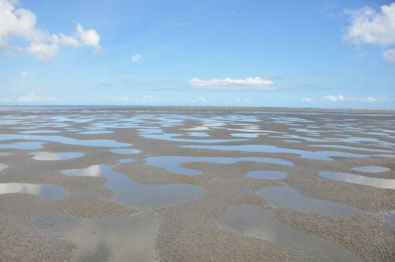 Terrenos alagado na maré baixa, próximo a Guriú - CE